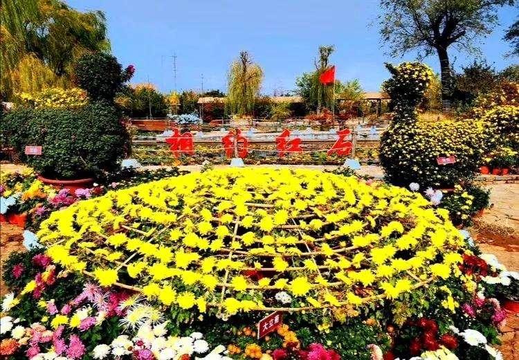 山东省临沂市4A、5A级旅游景区名录，喜欢的收藏