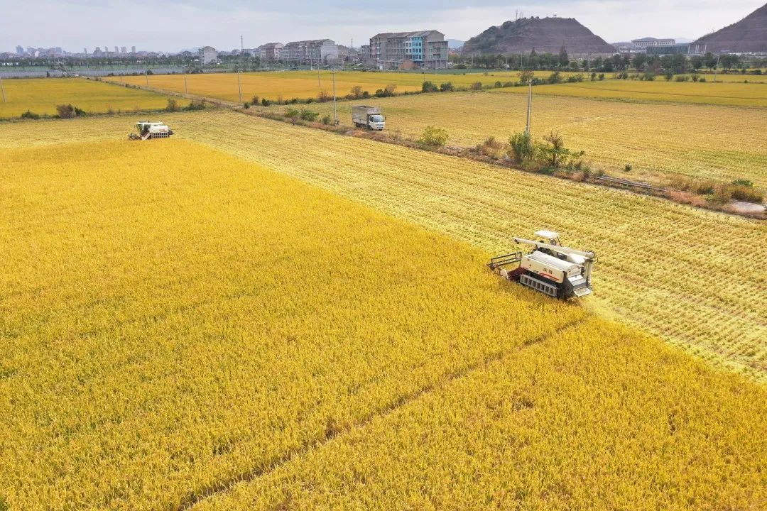 重 磅 || 9座以下私家车6年内免检、增加号牌投放......民生大事来了！