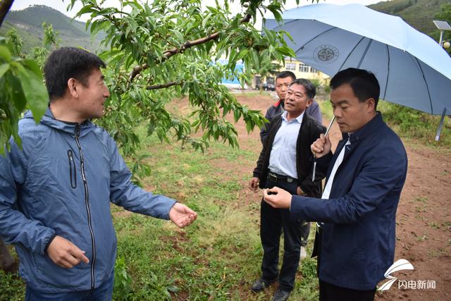临沂市这个镇下起了冰雹 苹果和蜜桃受灾面积将近8000亩