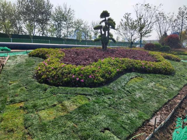 美!临沂市区这个滨水景观6月底竣工