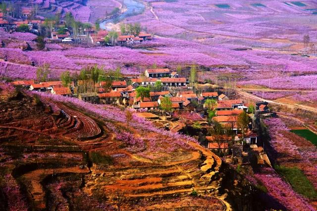 网络推介会“实力圈粉”,8.56万人次“云游”临沂