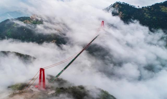 网络推介会“实力圈粉”,8.56万人次“云游”临沂