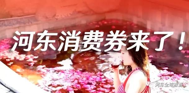 河东区文旅 “弯道超车”绽放诗意“蝴蝶效应”