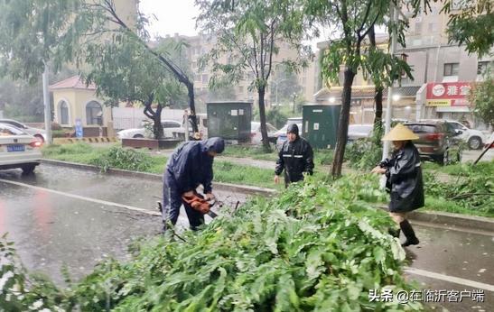 临沂一场暴雨下了20亿方水
