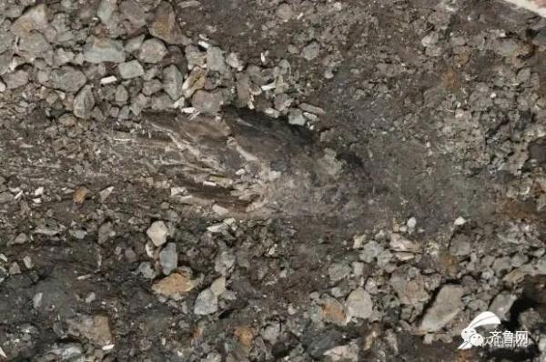 重要发现！临沂发现一处旧石器遗址，距今约3-5万年