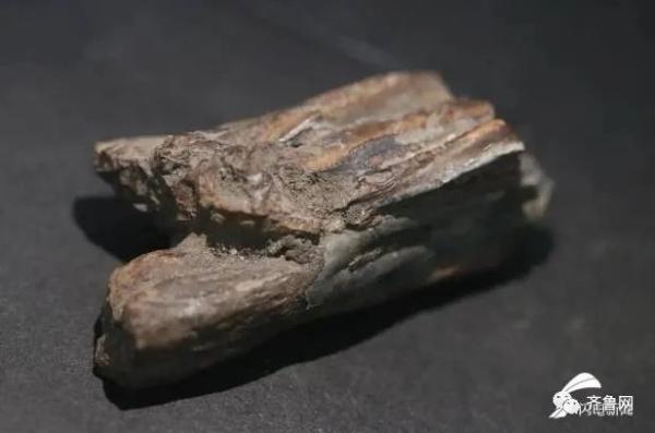 重要发现！临沂发现一处旧石器遗址，距今约3-5万年