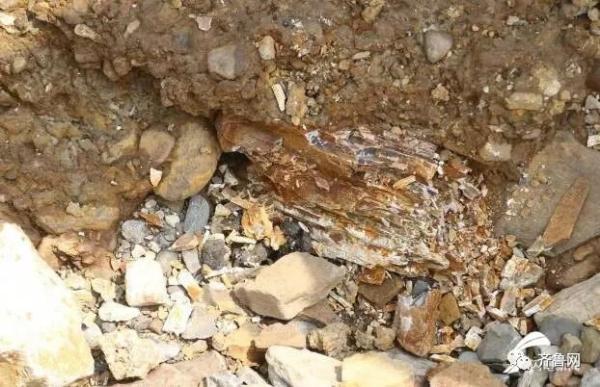 重要发现！临沂发现一处旧石器遗址，距今约3-5万年