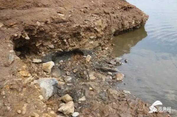 重要发现！临沂发现一处旧石器遗址，距今约3-5万年