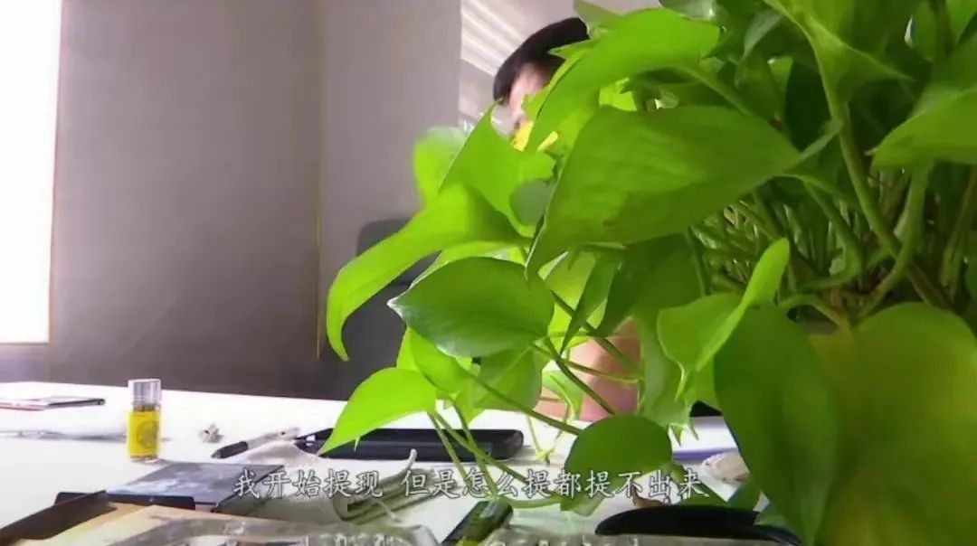 年轻貌美爱旅游 临沂一男子认识这个女子后，代价巨大
