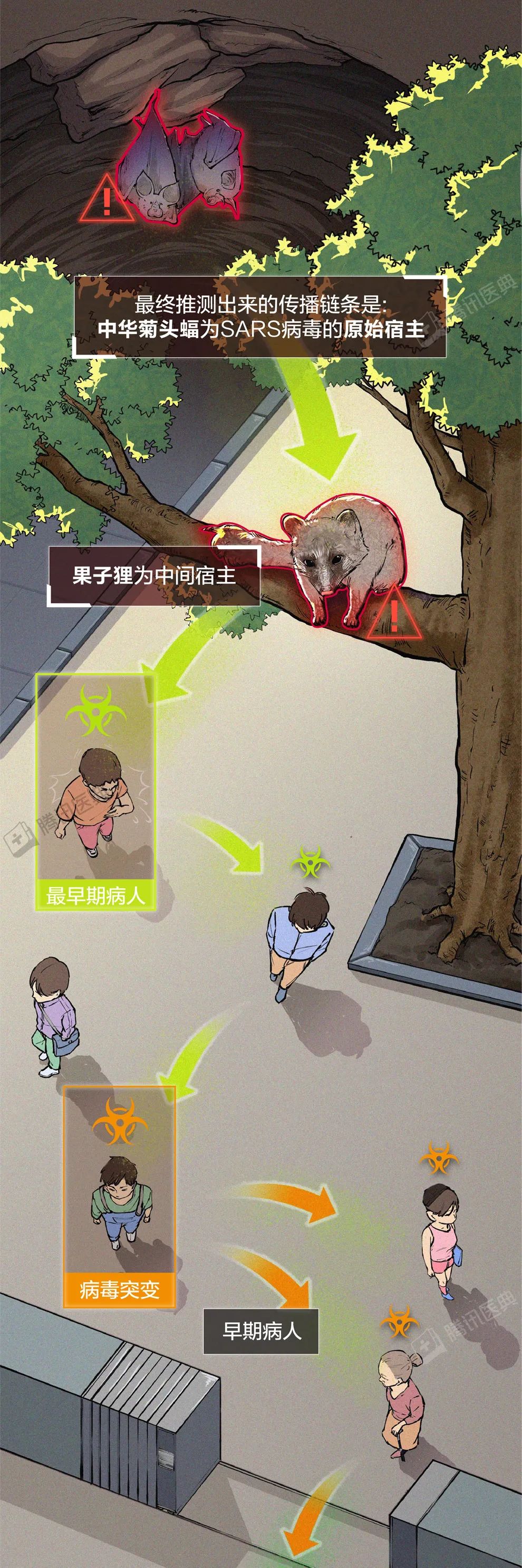 新冠病毒会彻底消失，还是越来越强？这可能是最接近事实的答案