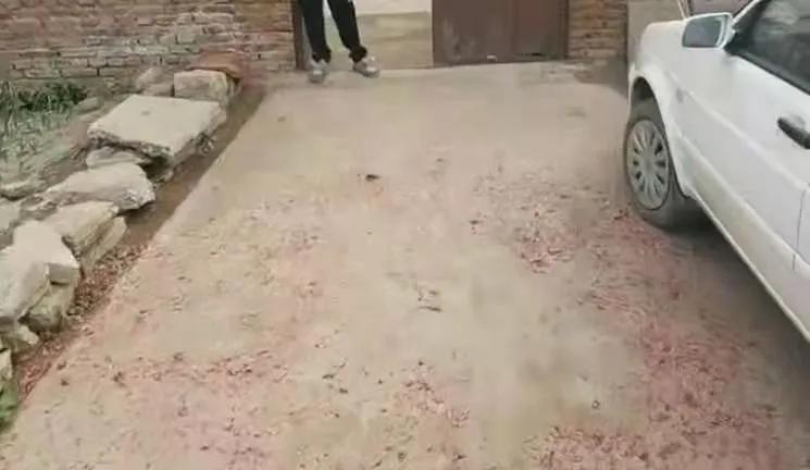 查处现场直击,临沂又有一批人被曝光!