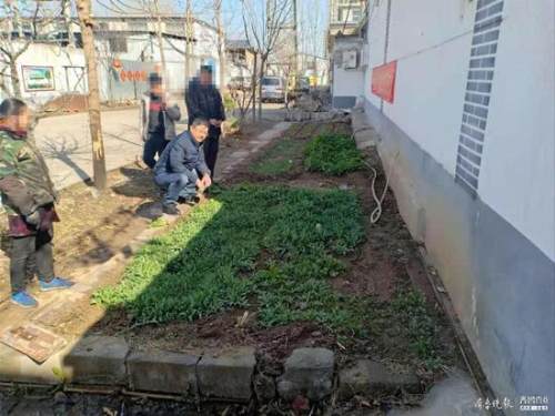 非法种植罂粟当佐料 临沂河东一男子已被刑拘