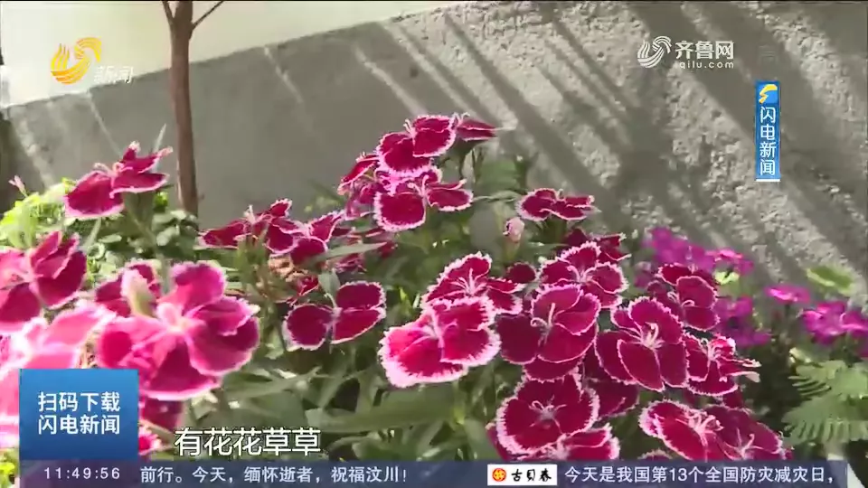 临沂男子爆改农村小院超一亿人围观