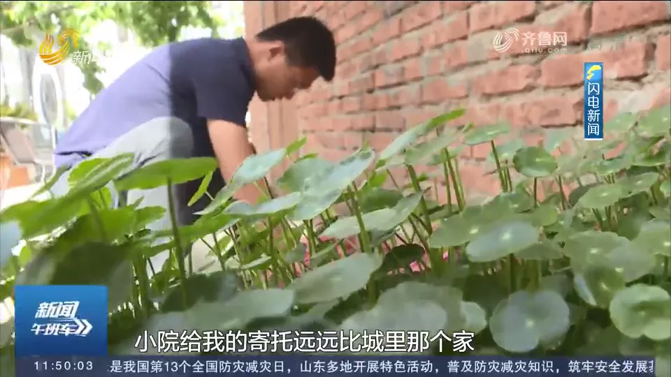 临沂男子爆改农村小院超一亿人围观