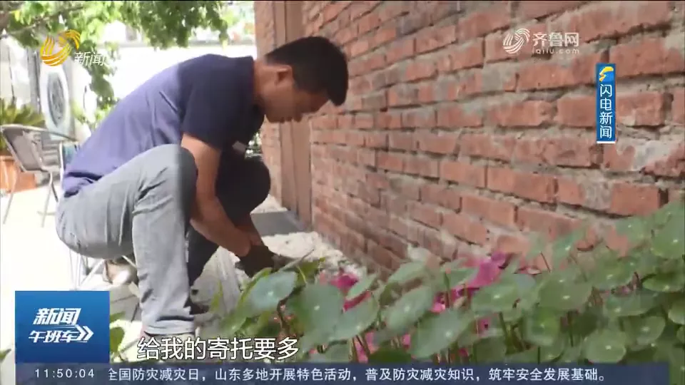 临沂男子爆改农村小院超一亿人围观