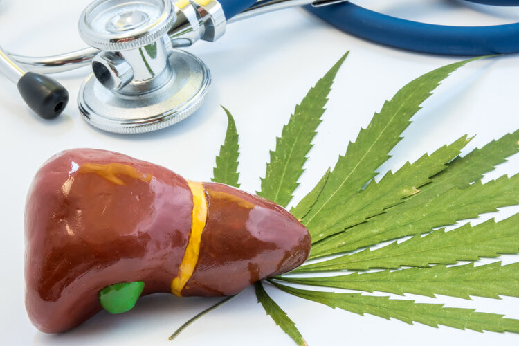 胆囊对人体有多重要?切除有何后果?胆囊切除4大疑问一次说清