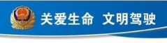 省局官方发布!临沂又有7人被终生禁驾,年龄最小的31岁