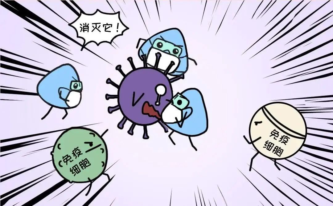 3针新冠疫苗效果最好?1针、2针、3针疫苗有什么区别?医生告诉你