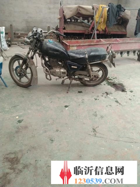 GN125  小太子