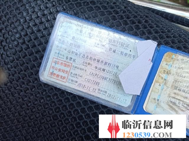 新大洲