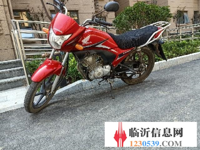 新大洲