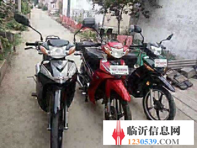 长年出售各种品牌二手摩托车