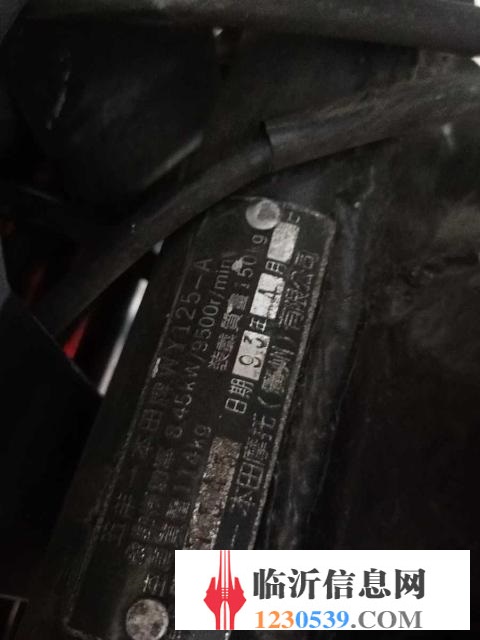 五羊本田