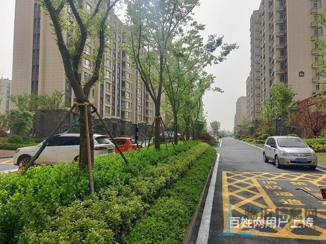 德馨园 精装现房全明户型 南北通透 户型图真实 随时看房