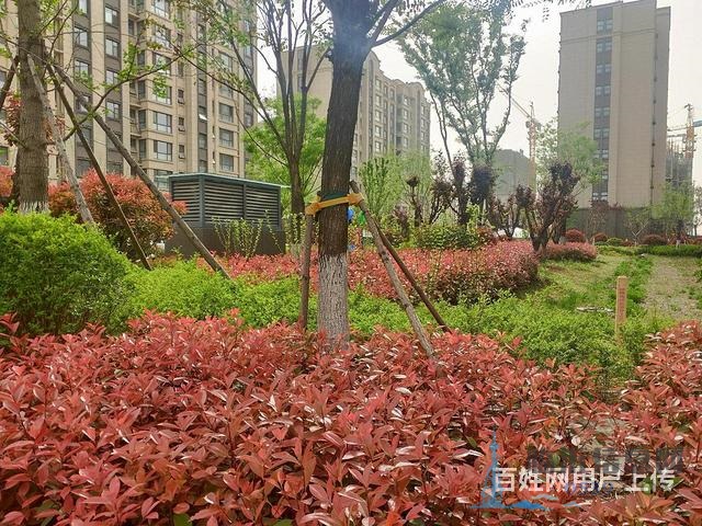 德馨园 精装现房全明户型 南北通透 户型图真实 随时看房