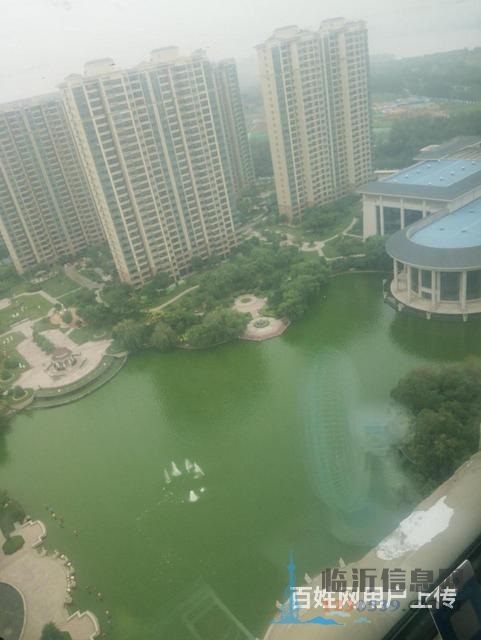 恒大绿洲3室2厅2卫