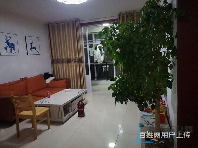 免 税，真实图片，中间楼层，客厅通阳台，双气入户，盛世阳光