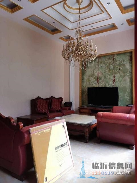 一楼带院 奥林匹克叠加别墅 精装四室两厅三卫带车库车位储藏室