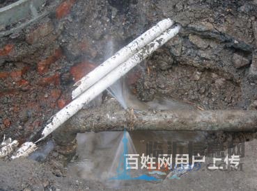 临沂兰山卫生间漏水只咋一块砖维修电话是多少