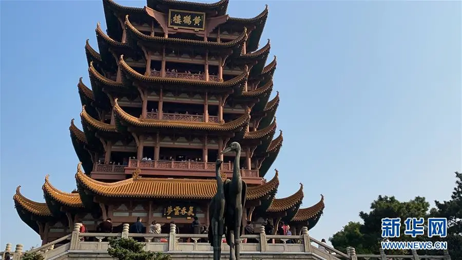 临沂人这个证千万别丢!官宣:免费