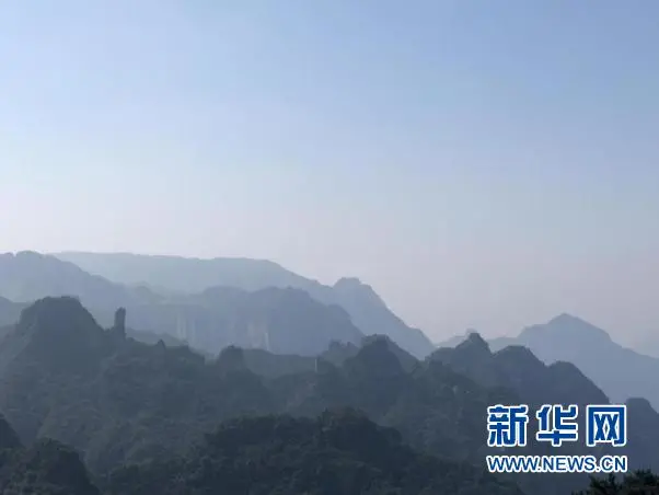 临沂人这个证千万别丢!官宣:免费