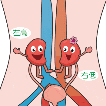 爱出汗就是肾虚?年轻人,这些常见行为正在伤害你的肾!