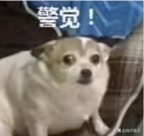 “裸聊”？临沂小王的遭遇，警惕