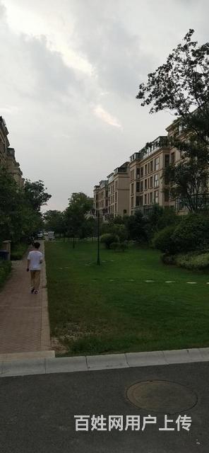 首付五万 掌舵龙湖 一手房源不收取您任何费用