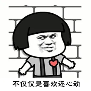 河东破获的这起案件被央视报道