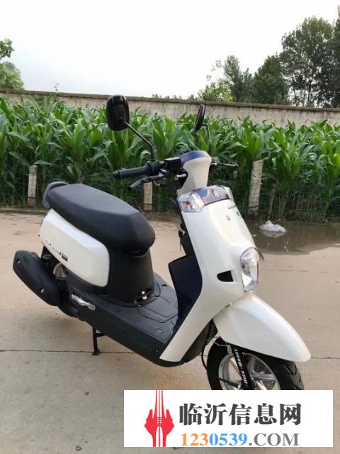 库存踏板0公里