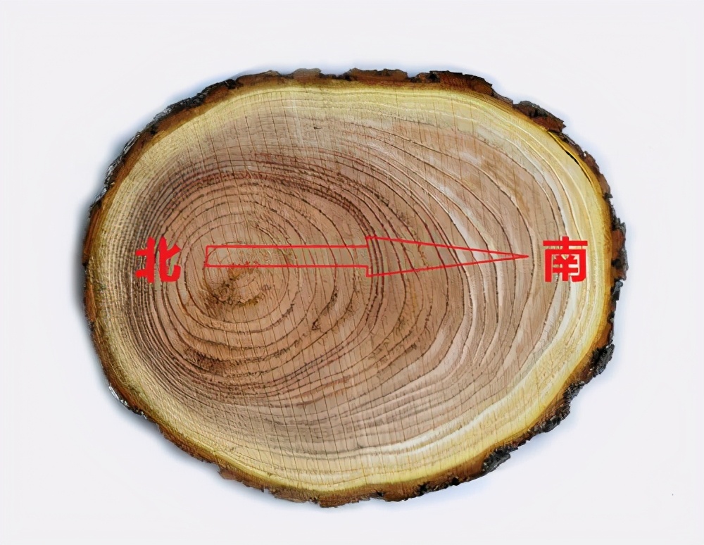 生活中的那些你不知道的小常识(一)