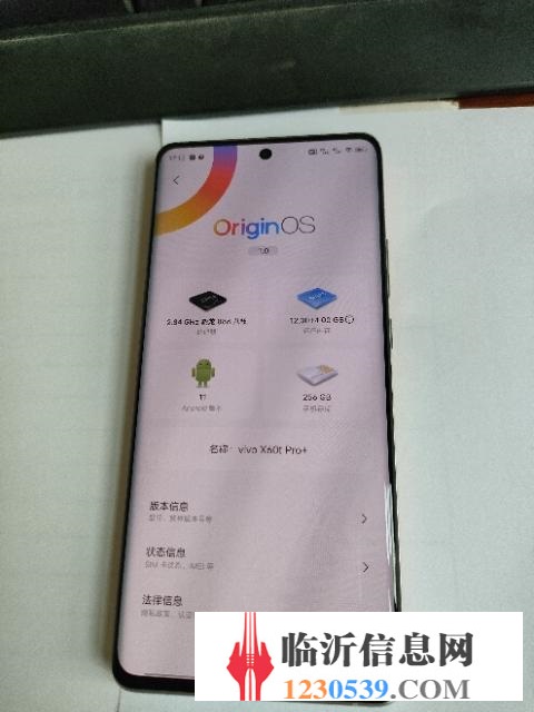 vivo X60t Pro+