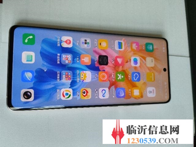 vivo X60t Pro+