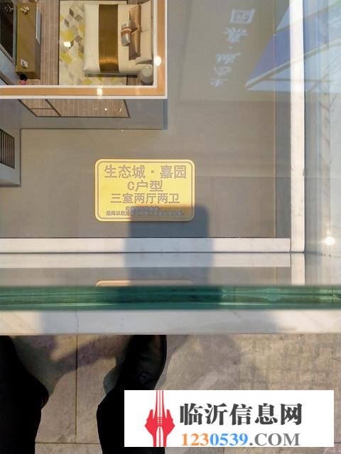 生态城 嘉园 临沂一手楼盘代理 新房团购