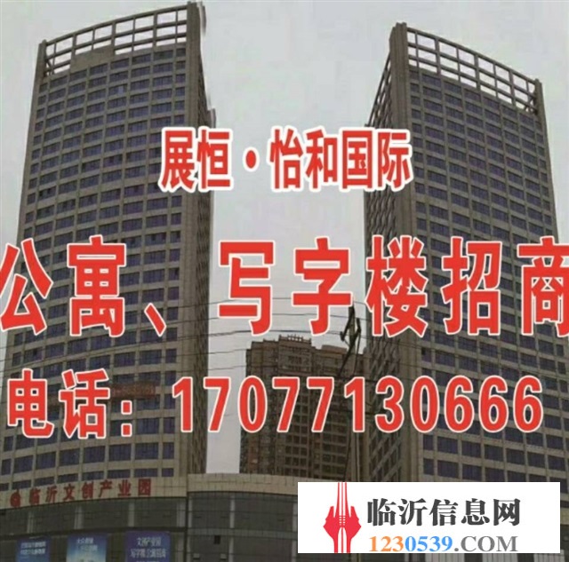 怡和国际(两套)电梯洋房