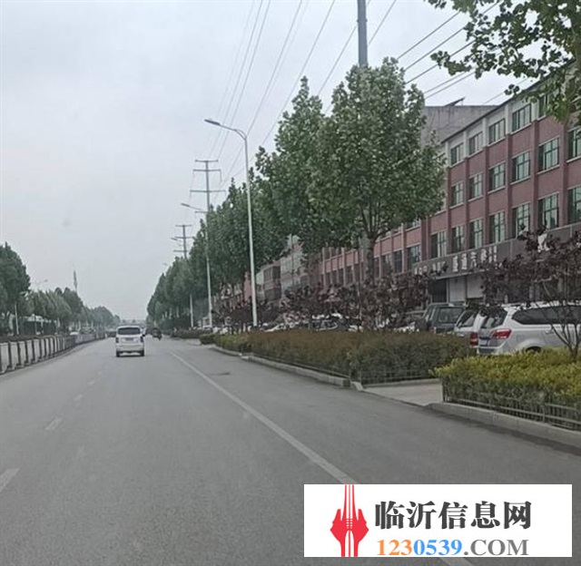 出租独院260平方旷架