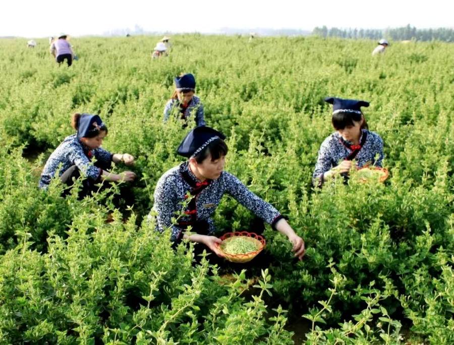 “5·19”中国旅游日｜临沂人游临沂，一大波福利来啦