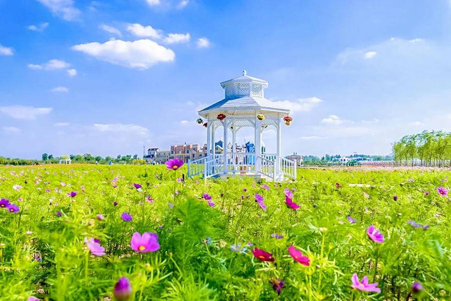 “5·19”中国旅游日｜临沂人游临沂，一大波福利来啦