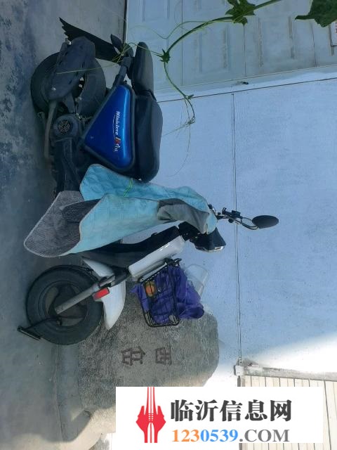 小摩托外卖太好