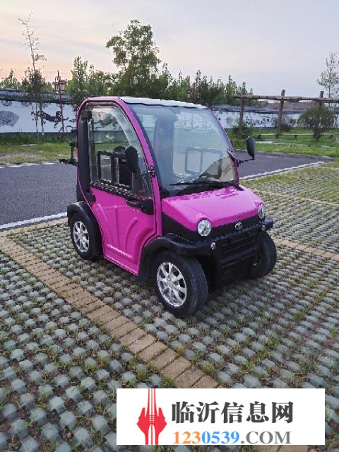 大阳电动车，全新电瓶